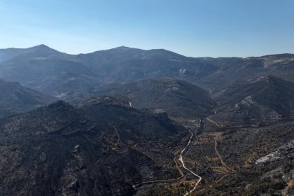 orman-yanginindan-geriye-kalan-aci-manzara-15-bin-donumden-fazla-alan-kule-dondu