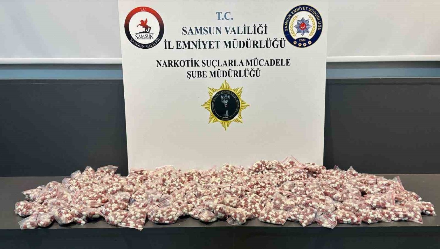samsunda-11-bin-300-adet-sentetik-ecza-ele-gecirildi-2-gozalti