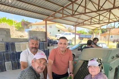 dinarda-kornison-salatalik-sezonu-basladi