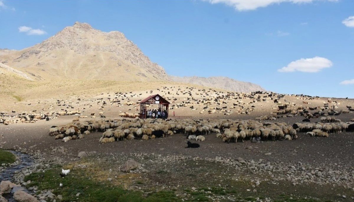 hakkaride-sap-hastaligi-karantinasi-sona-erdi