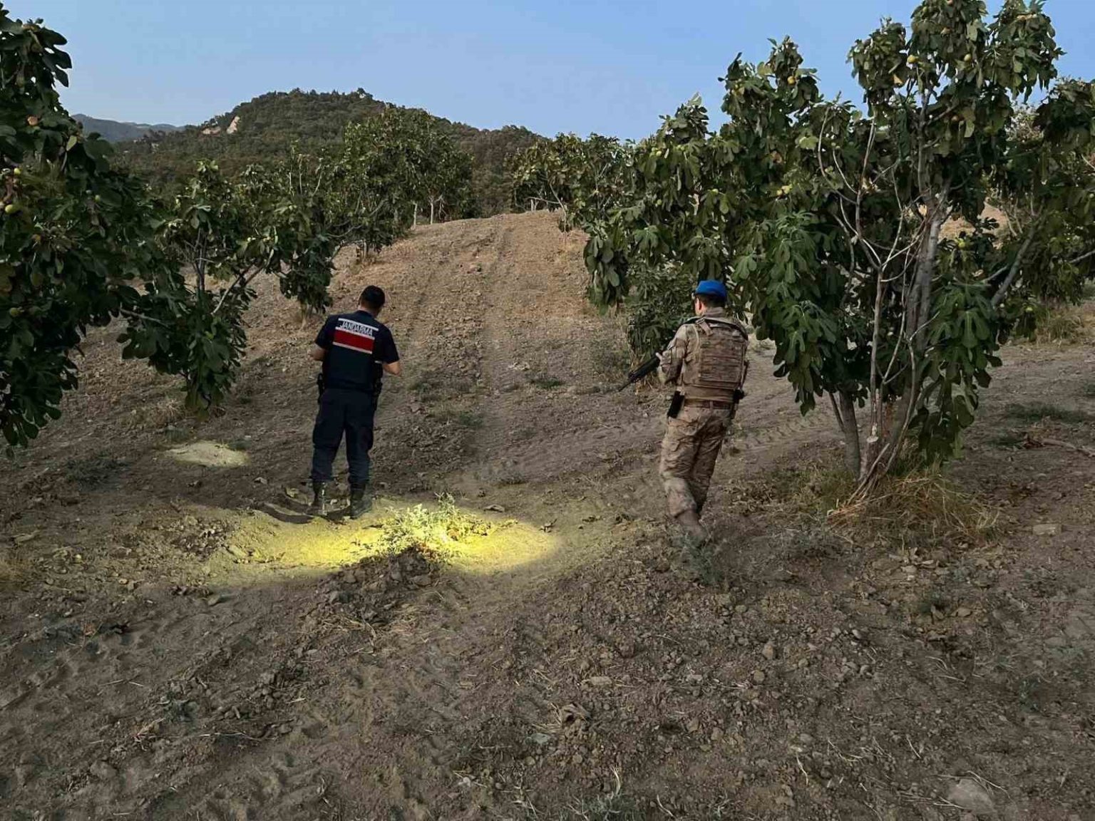 jandarma-incir-hirsizlarina-gecit-vermiyor