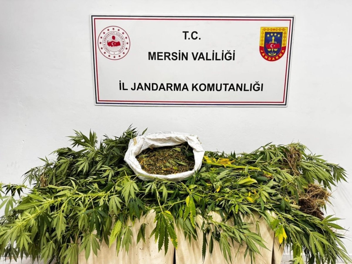 mersinde-uyusturucu-operasyonu