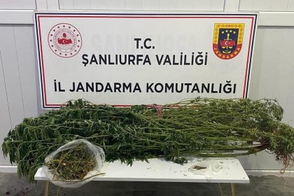 sanliurfada-uyusturucu-operasyonu-12-gozalti