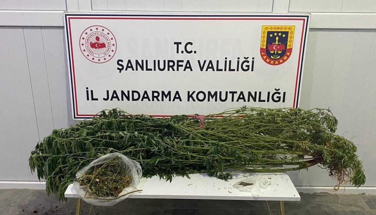 sanliurfada-uyusturucu-operasyonu-12-gozalti