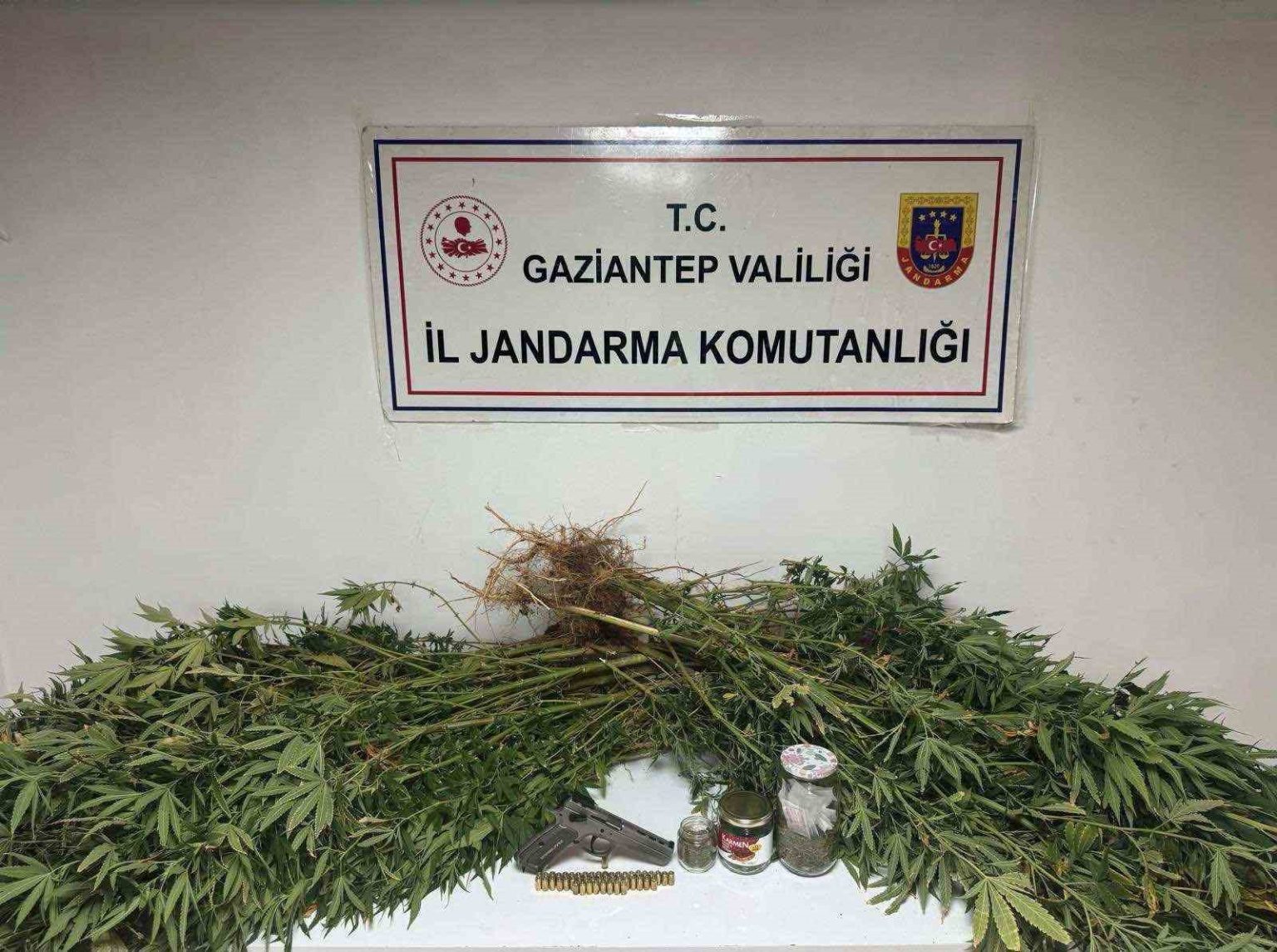gaziantepte-5-kilo-esrar-ile-178-kok-kenevir-ele-gecirildi-4-gozalti