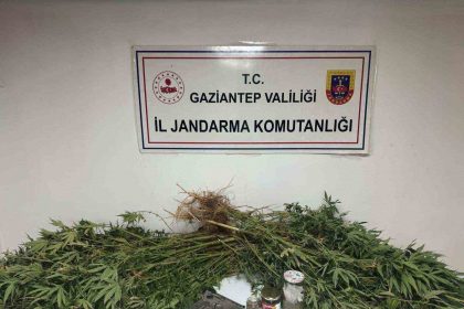 gaziantepte-5-kilo-esrar-ile-178-kok-kenevir-ele-gecirildi-4-gozalti