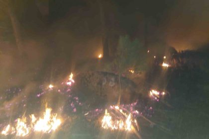 yataganda-orman-yangini-sonduruldu