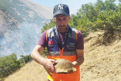afad-gonullusu-yangin-bolgesindeki-kaplumbagayi-kurtardi