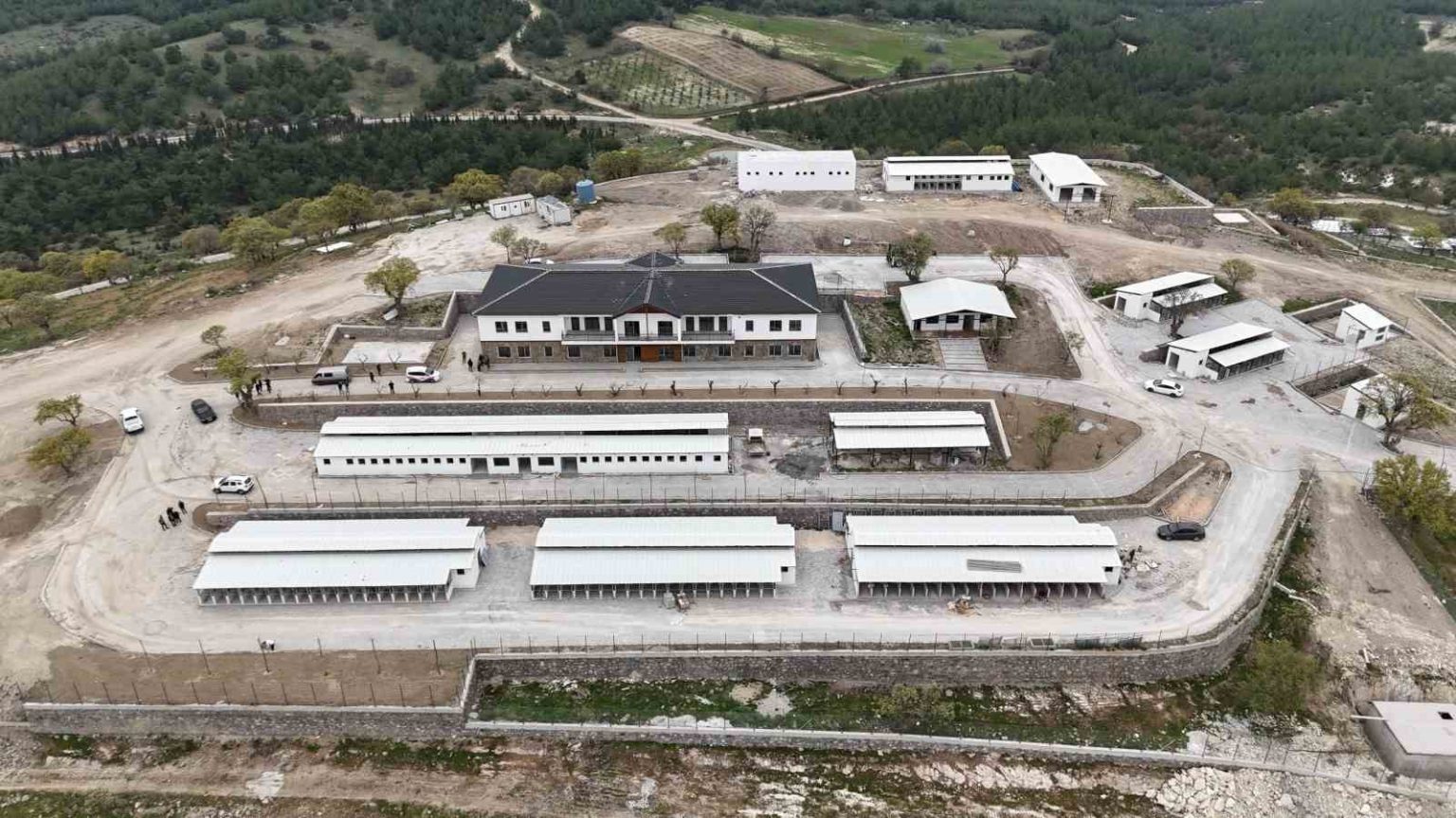 sokak-hayvanlari-dogal-yasam-alanlarina-denetim