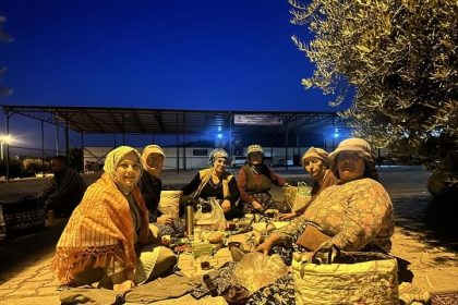elleriyle-pogaca-yapan-kadin-vekil-safakta-ureticiyle-birlikte-hasat-yapti