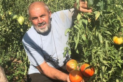 unutulmaya-yuz-tutmus-ata-tohumlarindan-domates-uretiyor