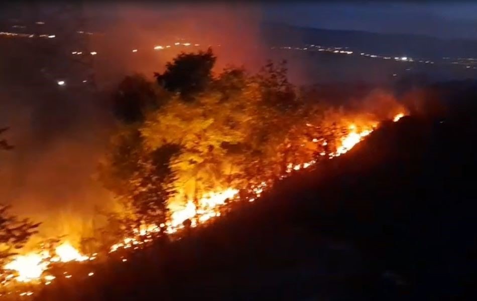 ardahanda-aniz-ve-fidanlik-yangini-geceyi-aydinlatti