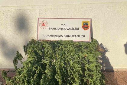 jandarmadan-uyusturucu-operasyonu