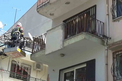sevimli-kediyi-kurtarmak-icin-tum-ekipler-seferber-oldu-o-kurtarilacagi-anda-atlayip-gitti