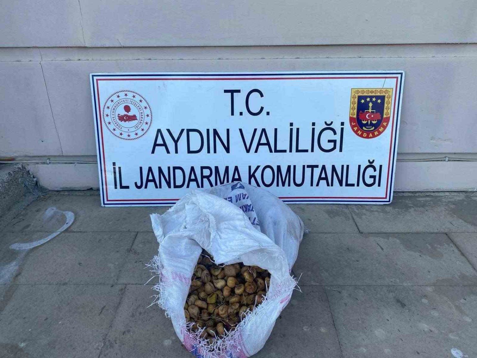 bahceden-50-kilo-incir-calan-supheliler-jandarmadan-kacamadi