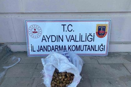 bahceden-50-kilo-incir-calan-supheliler-jandarmadan-kacamadi