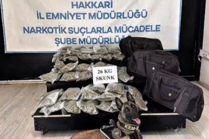 hakkaride-kamyonette-26-kilogram-skunk-ele-gecirildi-1-supheli-tutuklandi