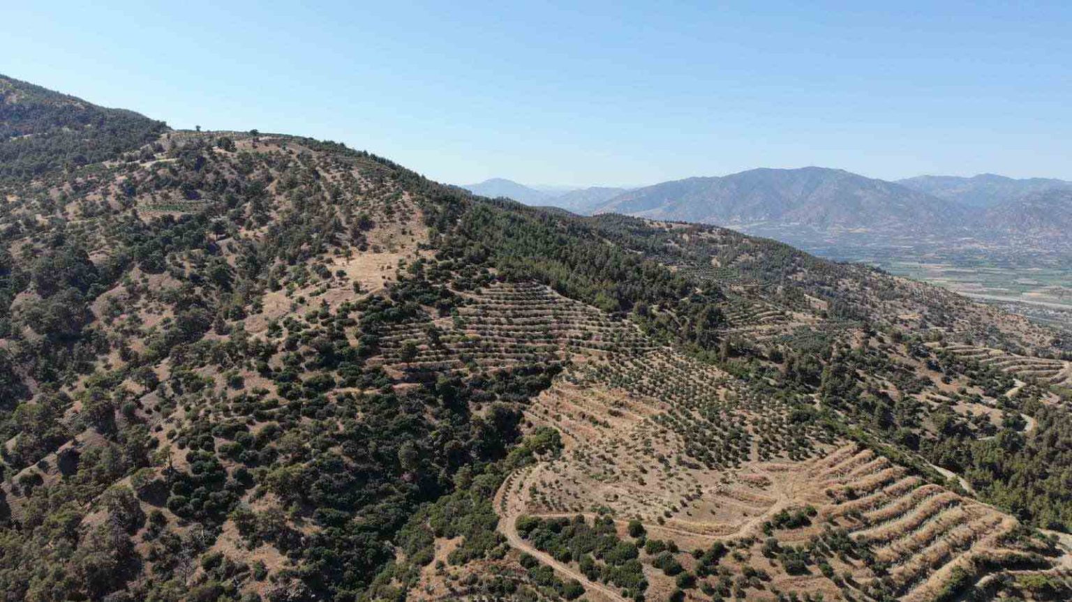 karacasu-kaymakamligi-orman-yangini-riskine-dikkat-cekti