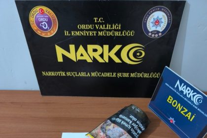 orduda-uyusturucu-operasyonlarinda-2-tutuklama
