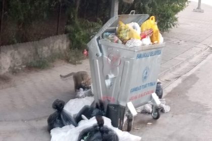 pamukkalede-cop-daglari