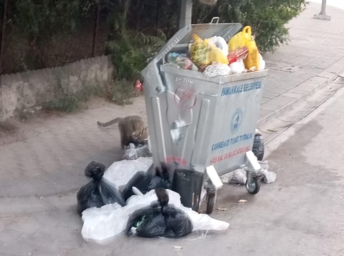 pamukkalede-cop-daglari