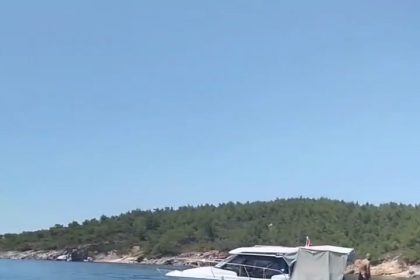 ayvalik-adalarinda-deniz-cayirlari-korunuyor