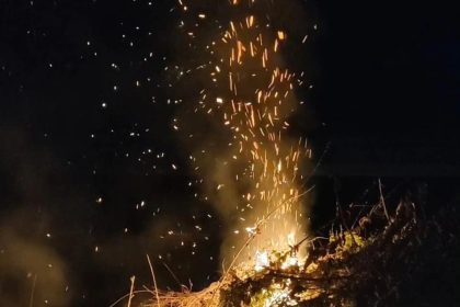 bayirkoyde-aniz-yangini-yayilmadan-sonduruldu
