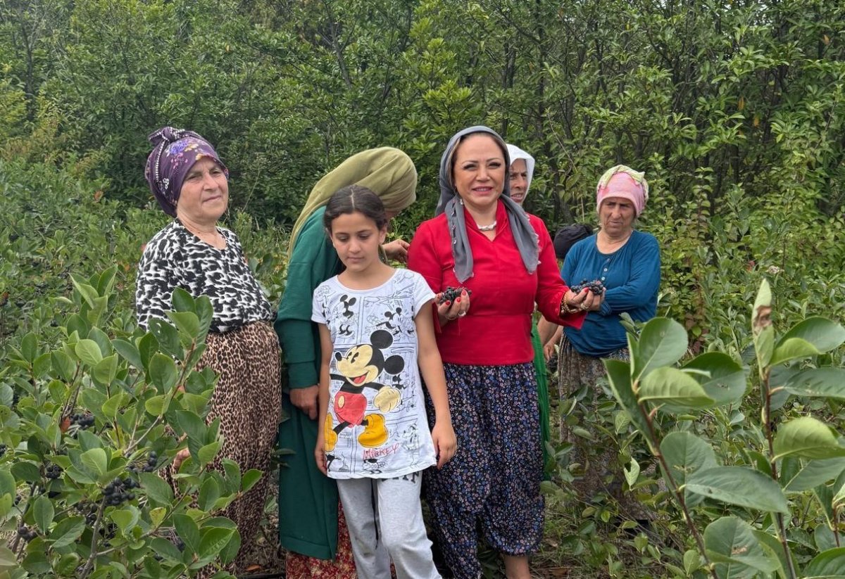 aronya-akcaabattan-dunyaya-aciliyor