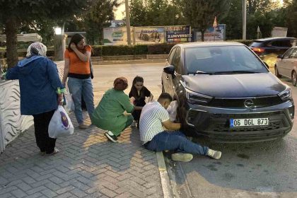ozel-otomobilin-kaputunda-mahsur-kalan-kediyi-kurtarmak-icin-mahalleli-seferber-oldu