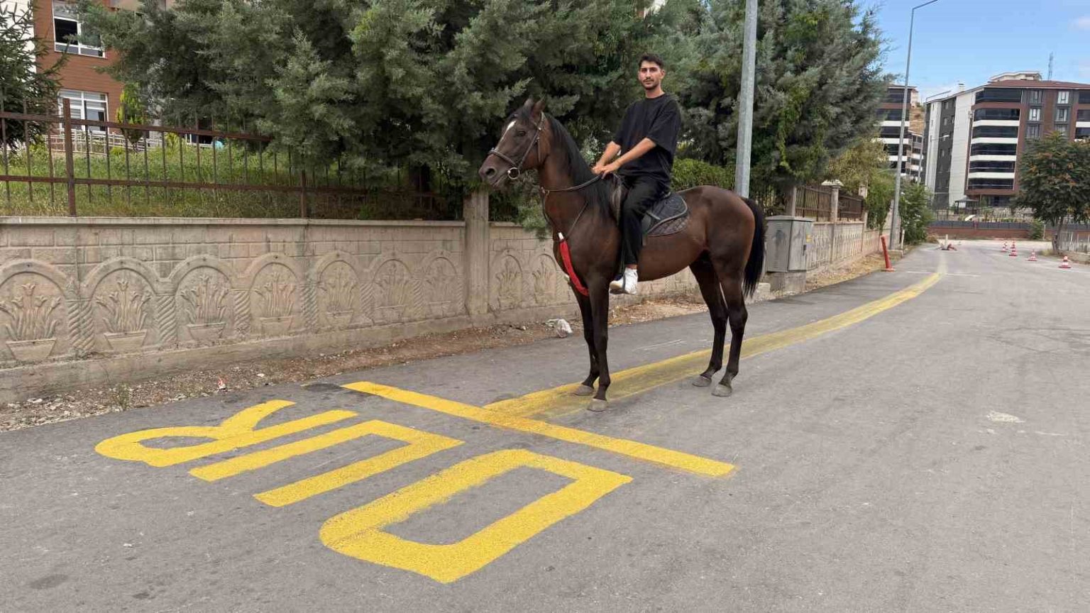tokatta-direksiyon-sinavi-heyecanini-yenmek-icin-motosiklet-yerine-atla-parkura-girdi