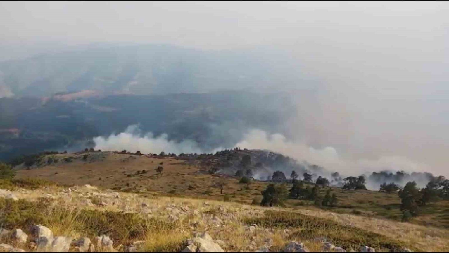 amasyada-orman-yangini-35-hektar-alan-zarar-gordu