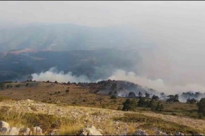 amasyada-orman-yangini-35-hektar-alan-zarar-gordu