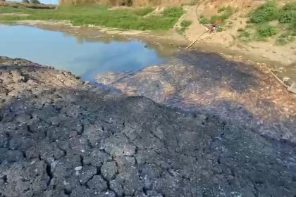 canakkalede-kocabas-cayi-alarm-verdi-toplu-balik-olumleri-yasandi