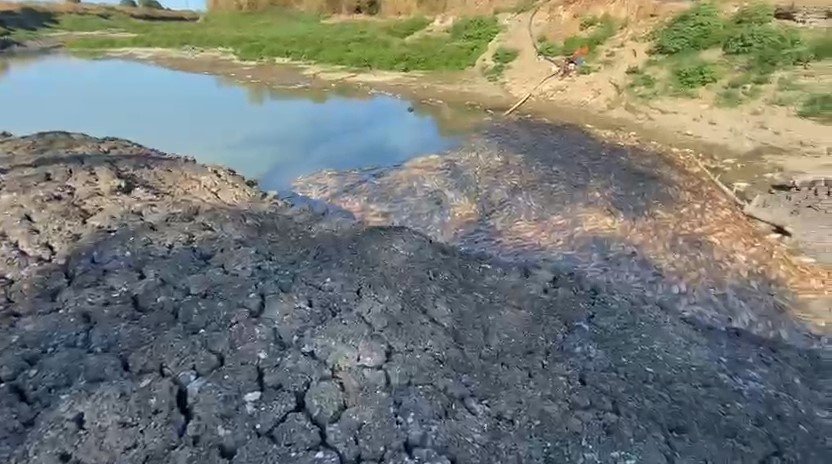 canakkalede-kocabas-cayi-alarm-verdi-toplu-balik-olumleri-yasandi