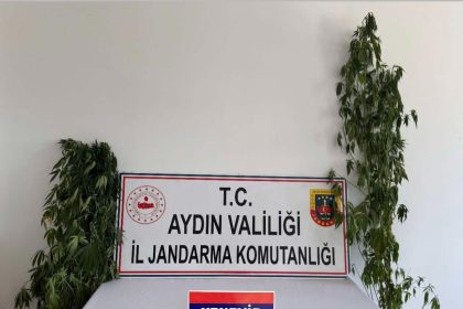 jandarmadan-uyusturucu-operasyonu-12-supheli-yakalandi