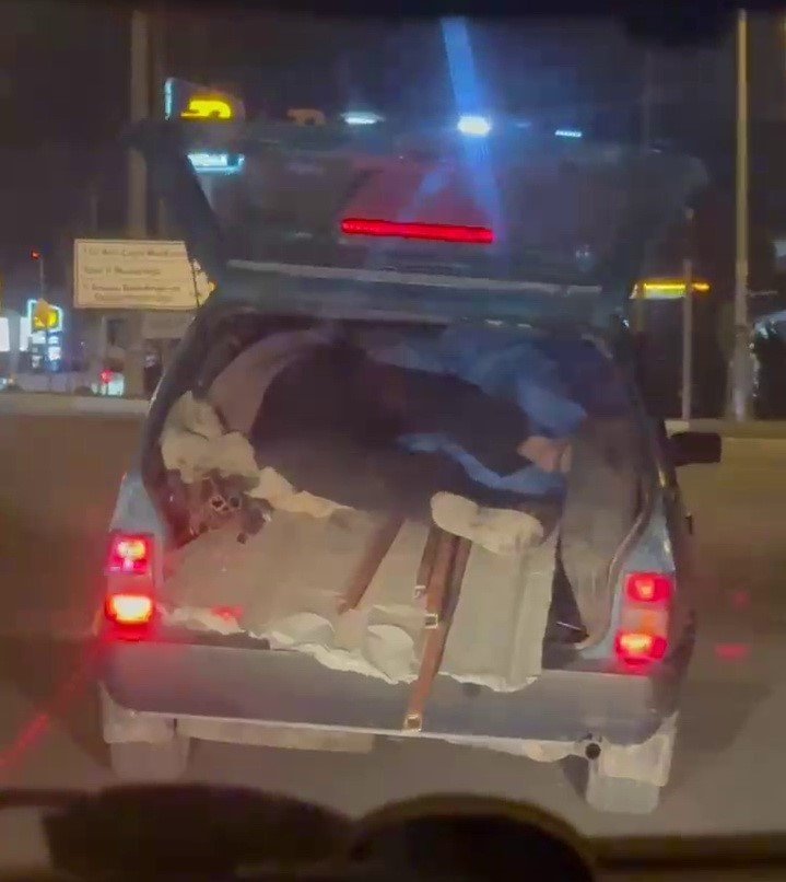 kapagi-acik-bagajda-yuk-uzerinde-yolculuk-yapti