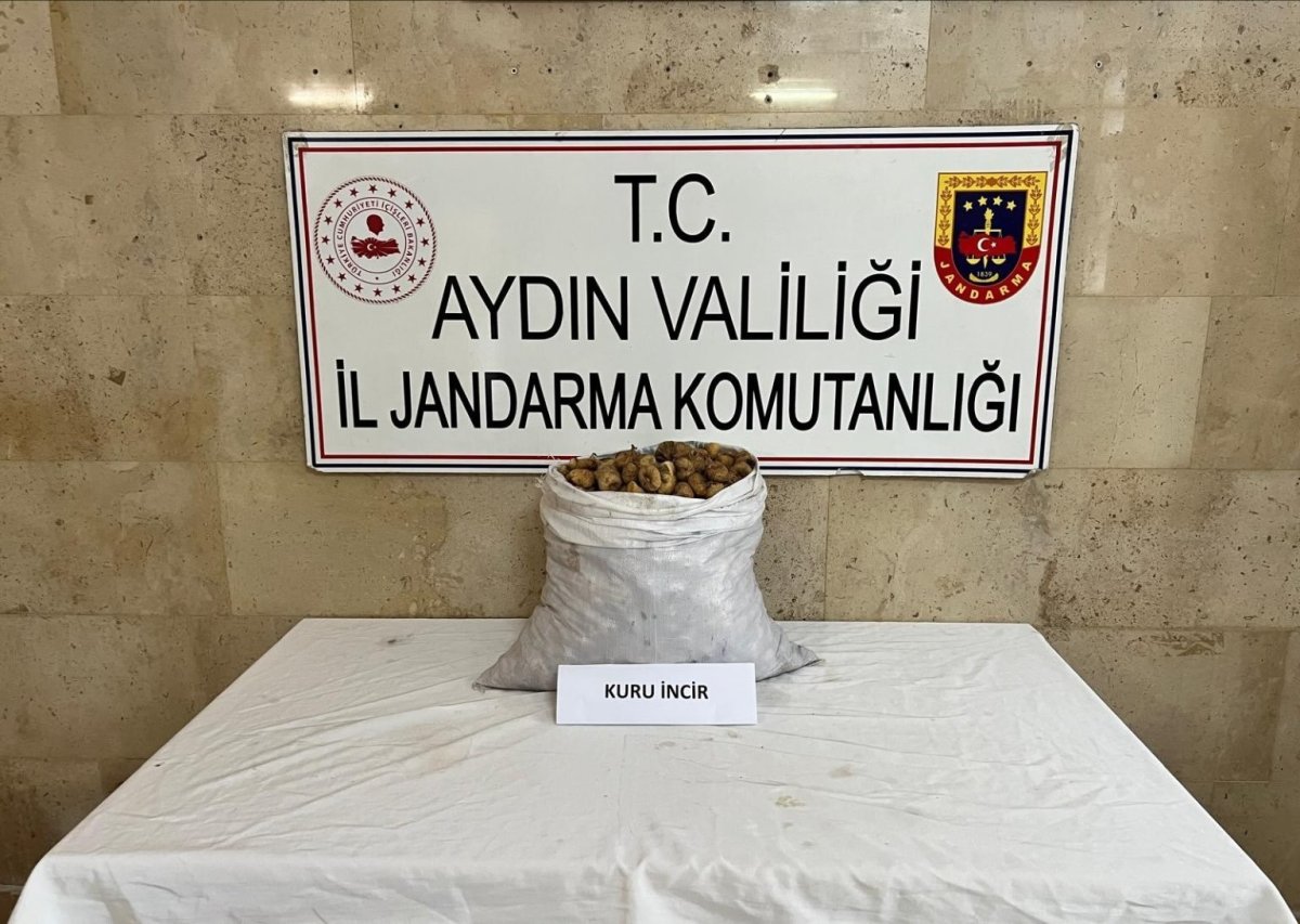 motosikletli-incir-hirsizi-jandarmadan-kacamadi