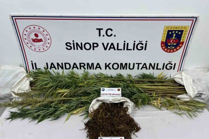 sinopta-425-gram-kubar-esrar-ve-56-kok-kenevir-bitkisi-ele-gecirildi