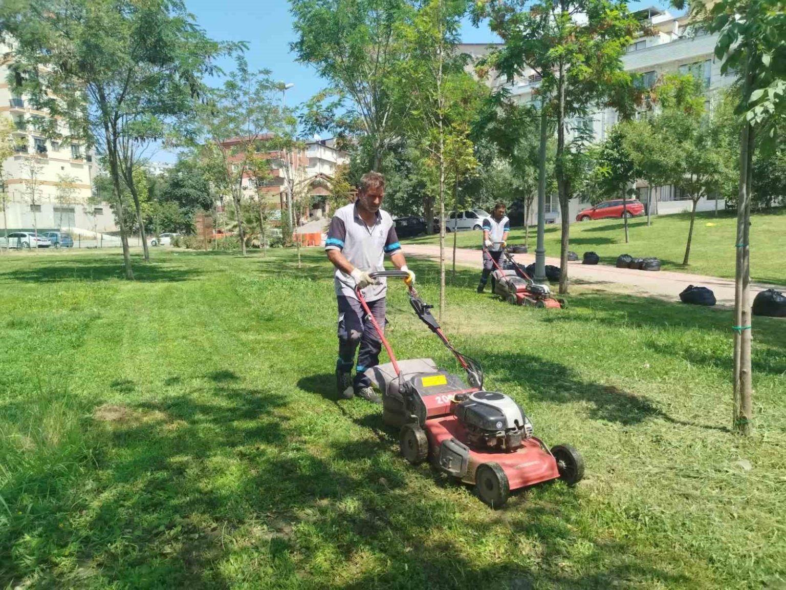 gebze-tatlikuyu-vadisi-kent-parkina-duzenli-bakim