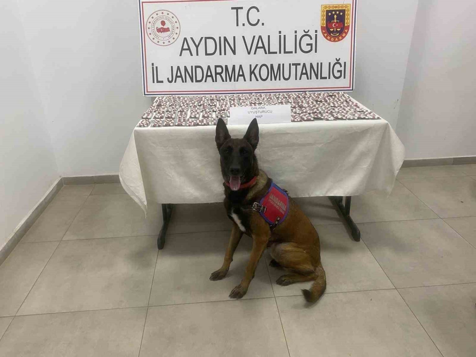 aydinda-jandarmadan-uyusturucu-operasyonu-3-gozalti