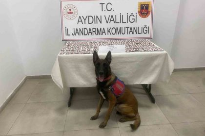 aydinda-jandarmadan-uyusturucu-operasyonu-3-gozalti
