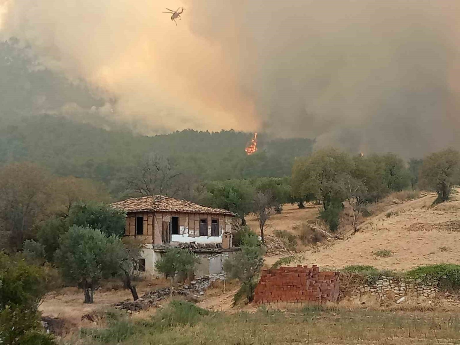 denizli-aydin-il-sinirinda-4-gundur-devam-eden-yanginda-bir-koy-tahliye-ediliyor