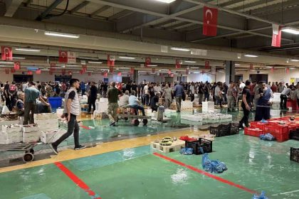 av-yasaginin-bitmesiyle-istanbulda-balikcilik-sezonu-resmen-basladi