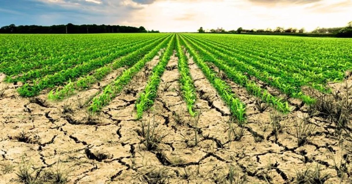 aydinda-islenmeyen-tarim-arazilerinin-listesi-ilan-edildi