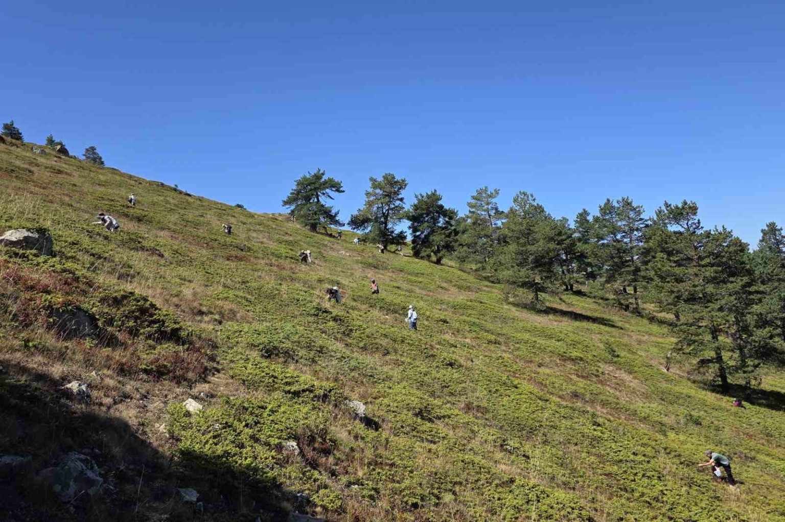 doganin-sifa-kaynagi-likarpa-gumushanede-senlige-donustu