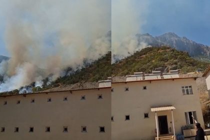 hakkari-cukurca-kara-yolundaki-makilik-alanda-yangin-cikti