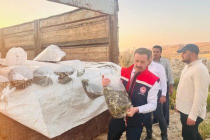 bitliste-aygir-ve-nazik-gollerine-3-milyon-895-bin-sazan-baligi-yavrusu-birakildi