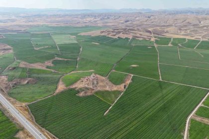 bozkir-yeserdi-110-bin-dekar-alanda-yapilan-patates-ekimi-ile-460-bin-ton-rekolte-bekleniyor