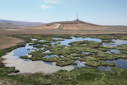 karsta-kurakligin-vurdugu-cali-golunu-kuslar-terk-etti