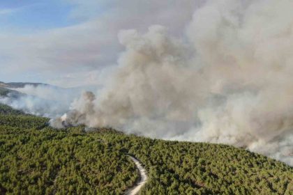 kastamonudaki-orman-yangini-suruyor-kuvvetli-ruzgar-yanginin-enerjisini-arttirdi